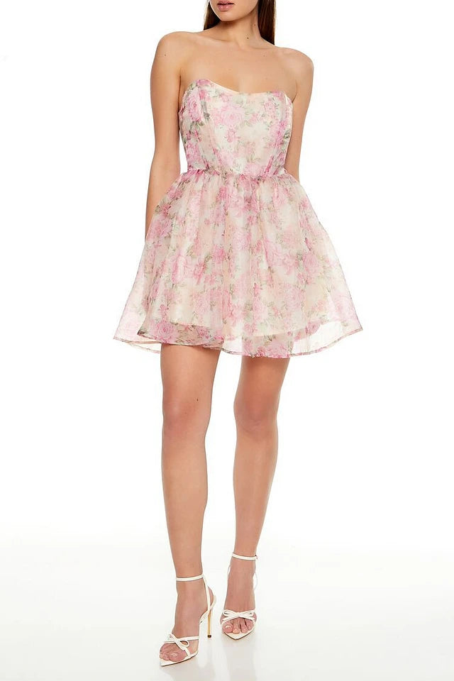 Mesh Rose Corset Mini Dress